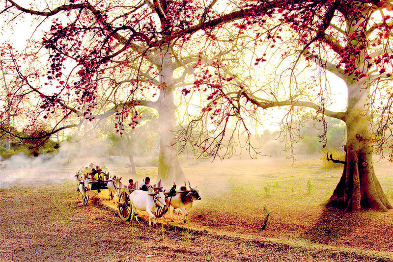 Mùa hè tại Myanmar 