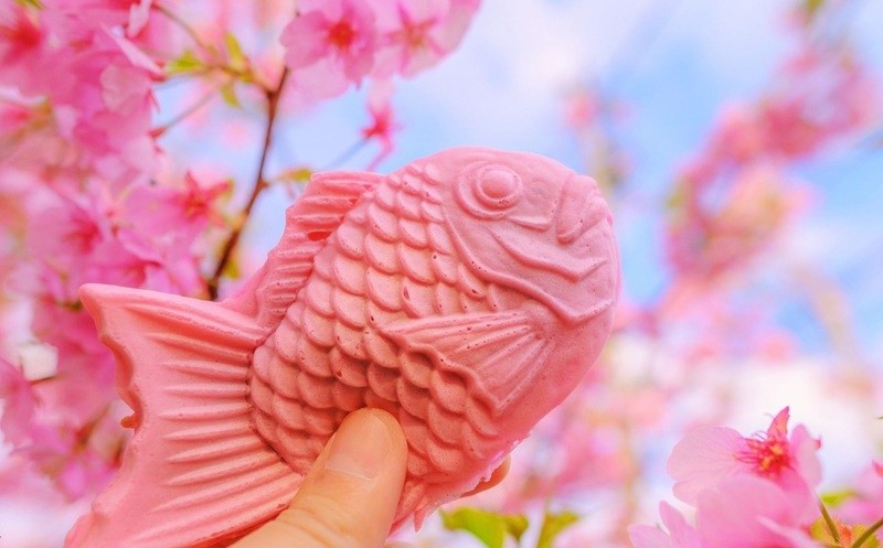 Rất thích hợp thưởng thức trong không khí mùa xuân