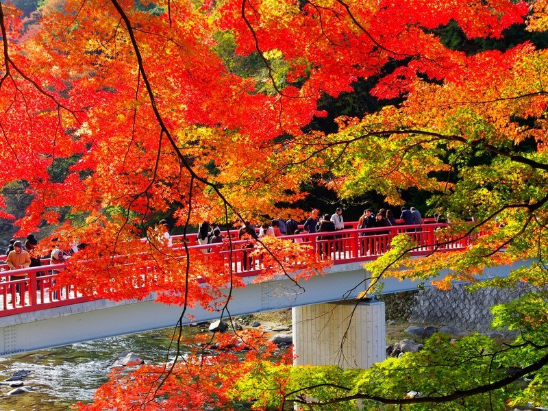 Cầu Taigetsukyo - biểu tượng của thung lũng Korankei
