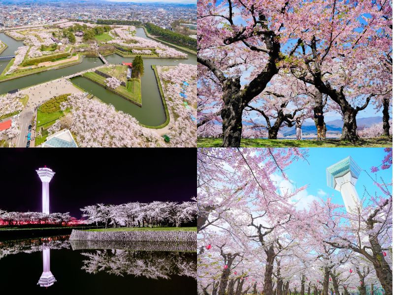 Goryokaku - công viên hình ngôi sao độc đáo tại Hakodate Goryokaku - công viên hình ngôi sao độc đáo tại Hakodate