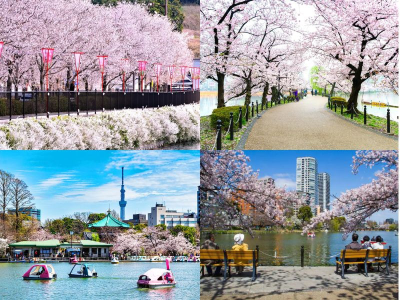 Công viên Ueno - điểm xanh nổi tiếng tại Tokyo Công viên Ueno - điểm xanh nổi tiếng tại Tokyo