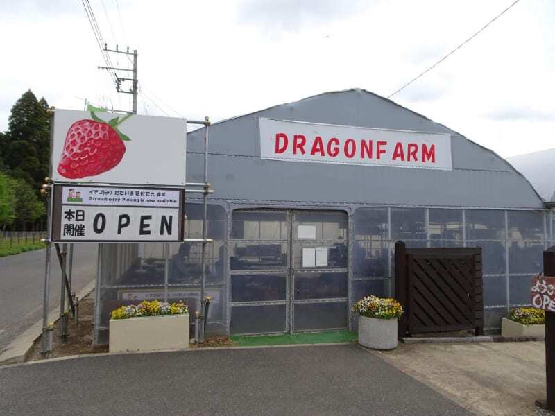 Dragon Farm