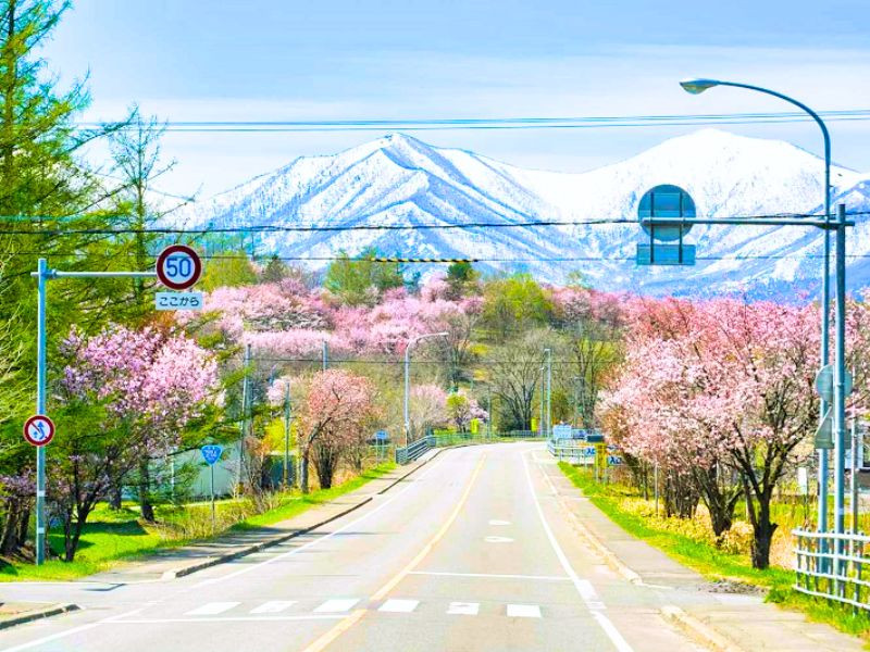 Cung đường Hokkaido