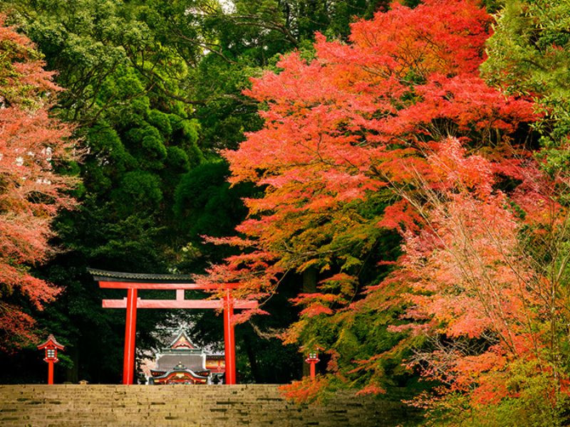 Kagoshima mùa thu dưới chân núi lửa 