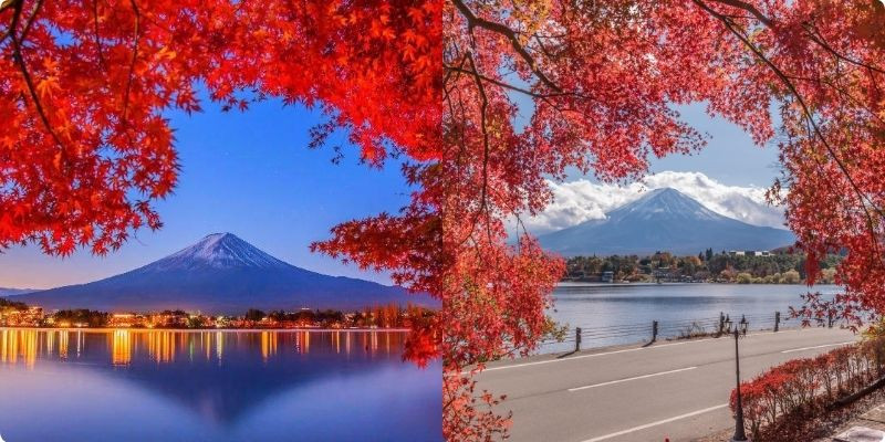 Hồ Kawaguchiko là một trong những điểm ngắm lá đỏ nổi tiếng nhất Nhật Bản Hồ Kawaguchiko là một trong những điểm ngắm lá đỏ nổi tiếng nhất Nhật Bản