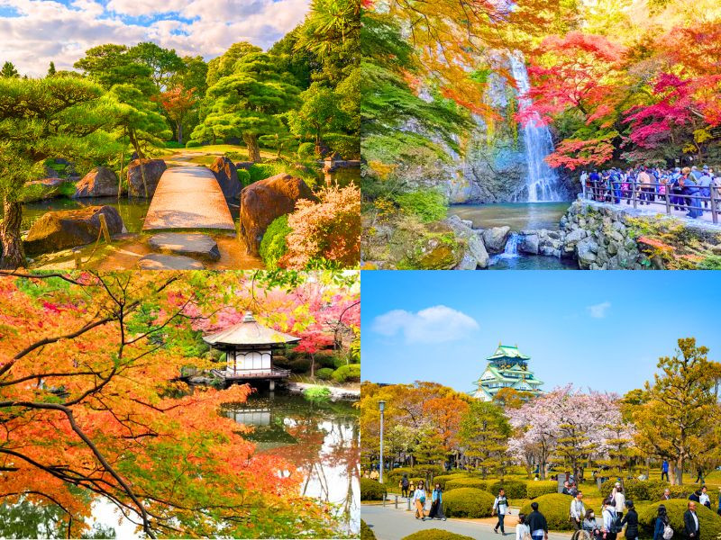 Mùa thu ở Osaka thật tuyệt vời với những hàng cây đỏ rực và không khí se lạnh 