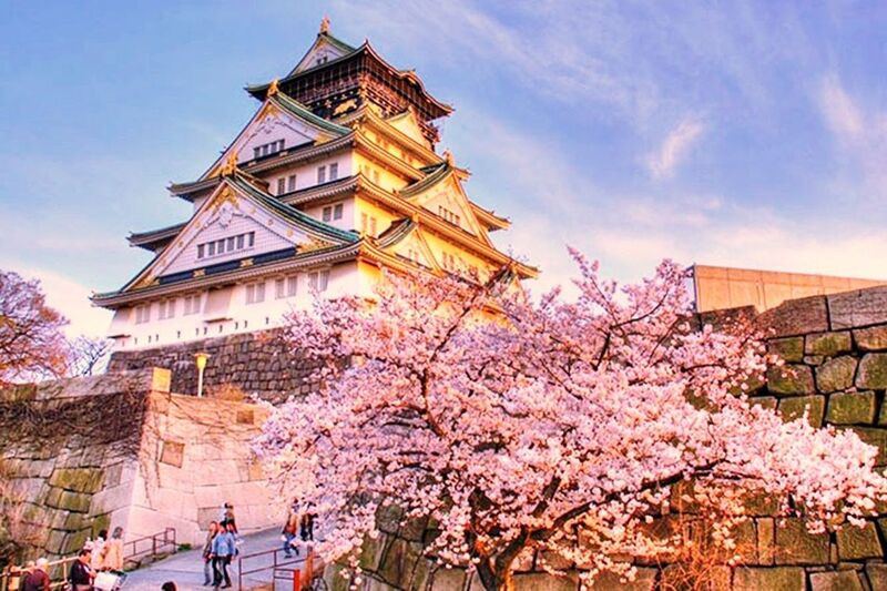 Thời điểm lý tưởng du lịch mùa sakura ở Osaka