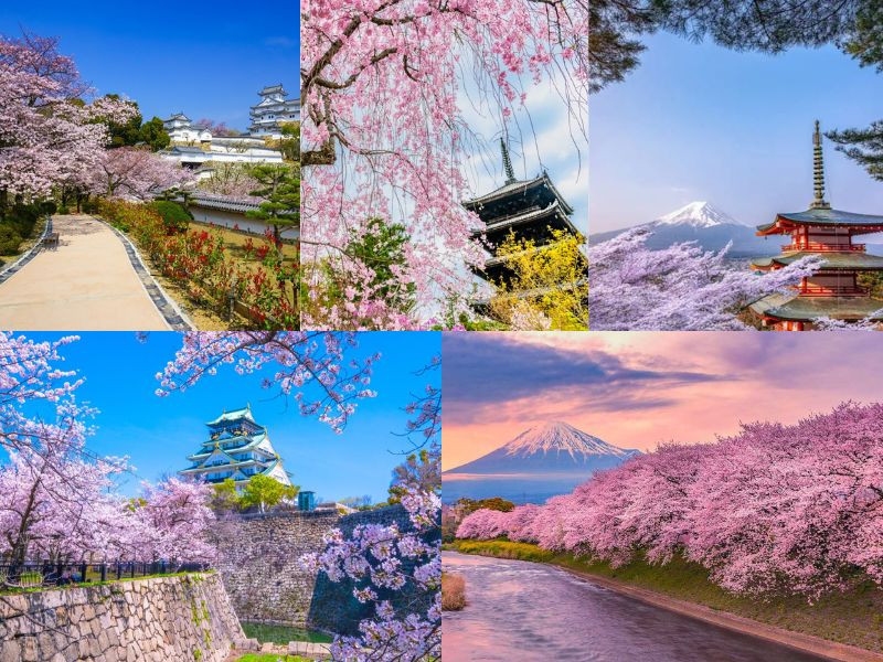 Nhật Bản tháng 4: nắng ấm, trời trong và cảnh sắc mùa xuân tràn đầy sức sống Nhật Bản tháng 4: nắng ấm, trời trong và cảnh sắc mùa xuân tràn đầy sức sống