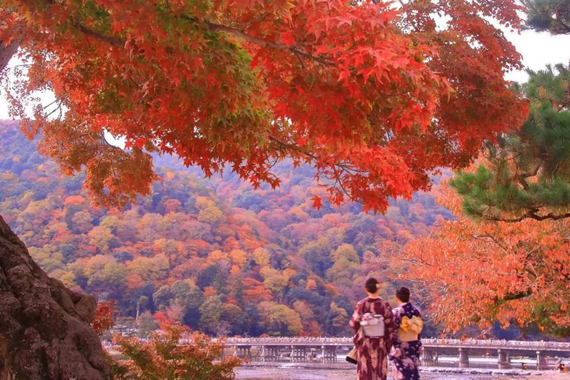 Mùa thu tại Arashiyama, thành phố Kyoto (Ảnh sưu tầm)