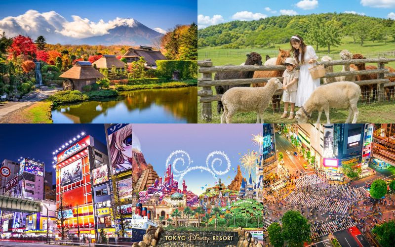 Hành trình cảm nhận vẻ đẹp giao mùa của Nhật Bản lễ 2/9 Hành trình cảm nhận vẻ đẹp giao mùa của Nhật Bản lễ 2/9