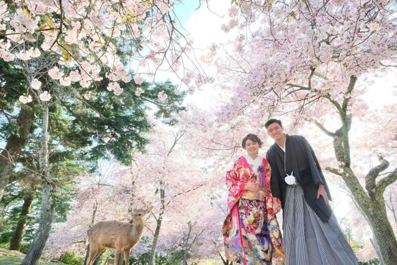 Chụp ảnh cùng hươu ở Nara