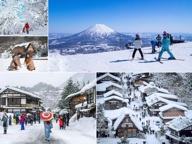 Chơi đùa cùng tuyết trắng