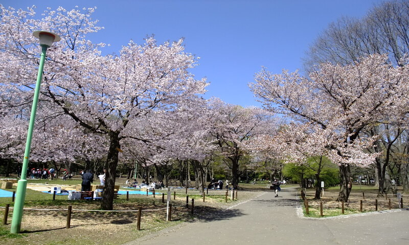 Công viên Maruyama