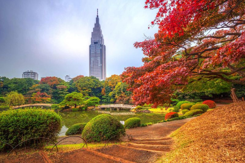 Thủ đô Tokyo đầy thơ mộng vào mùa thu