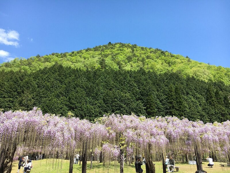 Công viên Shirai Omachi Fuji