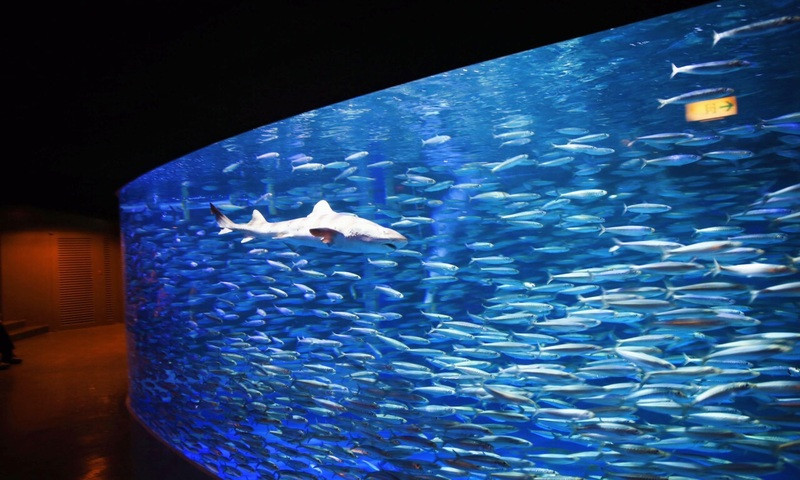 Công viên thủy cung Marine Park Nixe