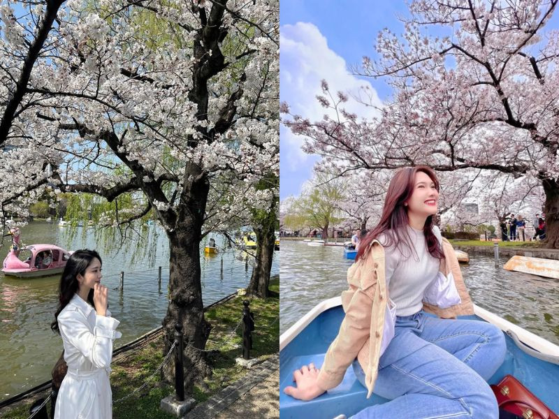 Công viên Ueno - thiên đường hoa anh đào rực rỡ giữa lòng Tokyo