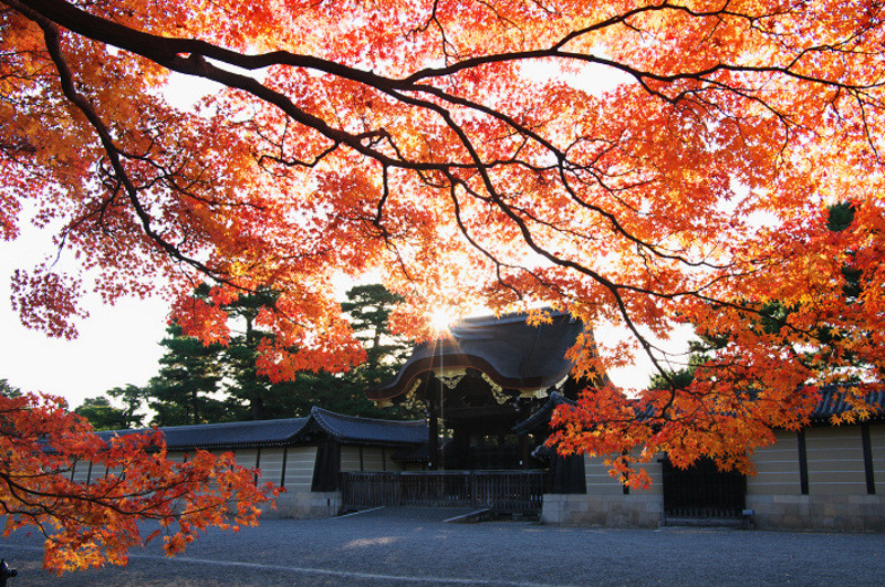 Cung điện hoàng gia Kyoto