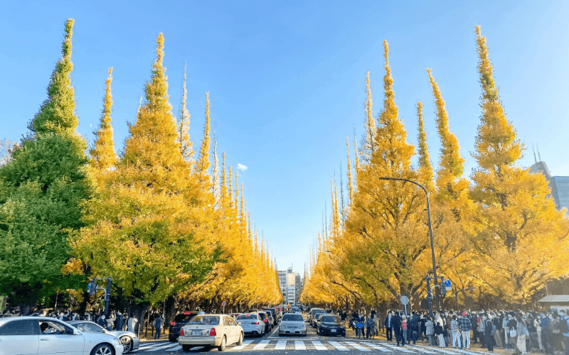 Đại lộ bạch quả Jingu Gaien