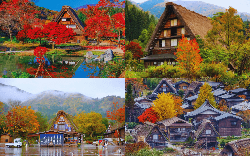 Dạo quanh làng cổ Shirakawago