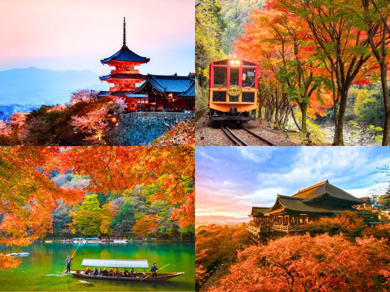 Du lịch Kyoto mùa lá đỏ lãng mạn 