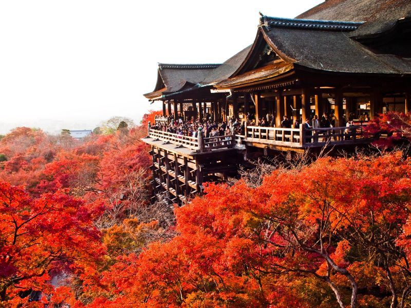 Chiêm ngưỡng vẻ đẹp của cố đô Kyoto khi vào thu
