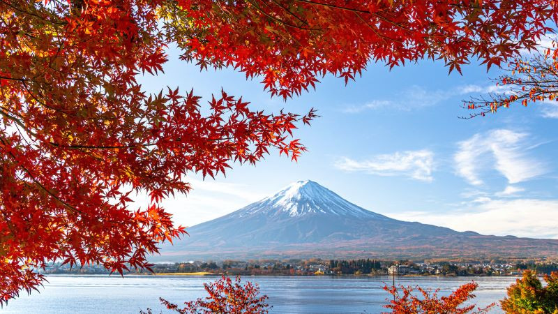 Du lịch Nhật Bản mùa thu