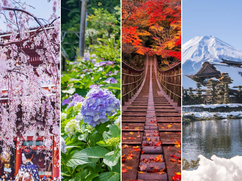 Du lịch Nhật Bản mùa nào đẹp nhất chiêm ngưỡng lễ hội 4 mùa