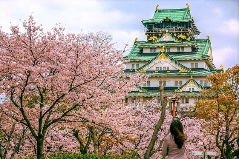 Hoa anh đòa tại Osaka