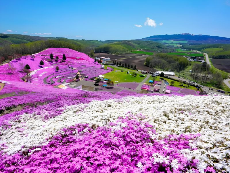 Hokkaido là sự lựa chọn rất đáng để cân nhắc