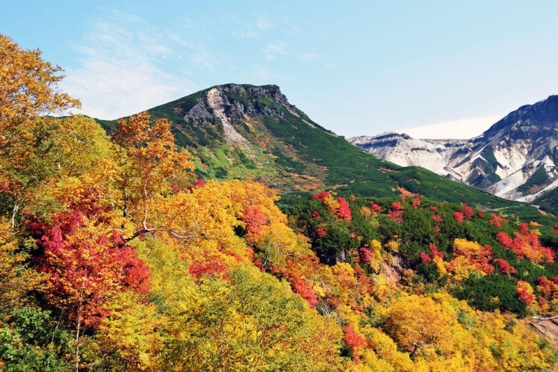 Hokkaido - nơi mùa thu bắt đầu sớm nhất