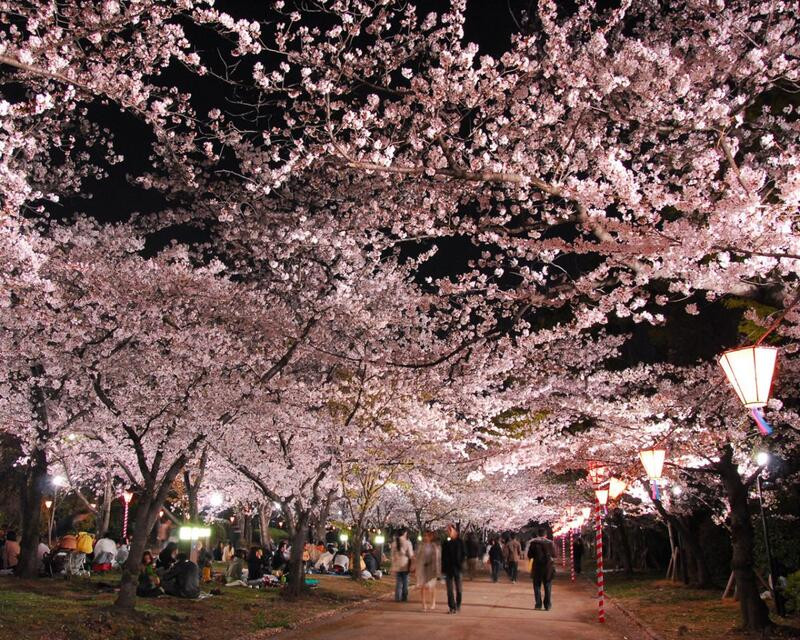 Khung trời thơ mộng ở công viên Kema Sakuranomiya