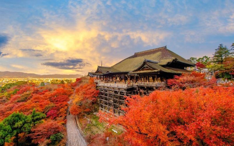 Kiyomizu-dera gây ấn tượng khi những tán cây chuyển màu