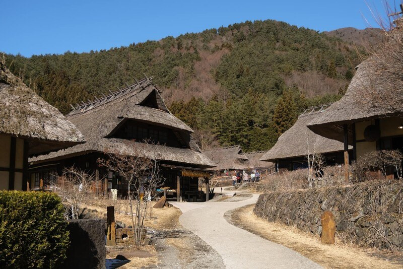 Làng cổ Iyashino Sato Nenba rực rỡ sắc hoa oải hương mùa hè