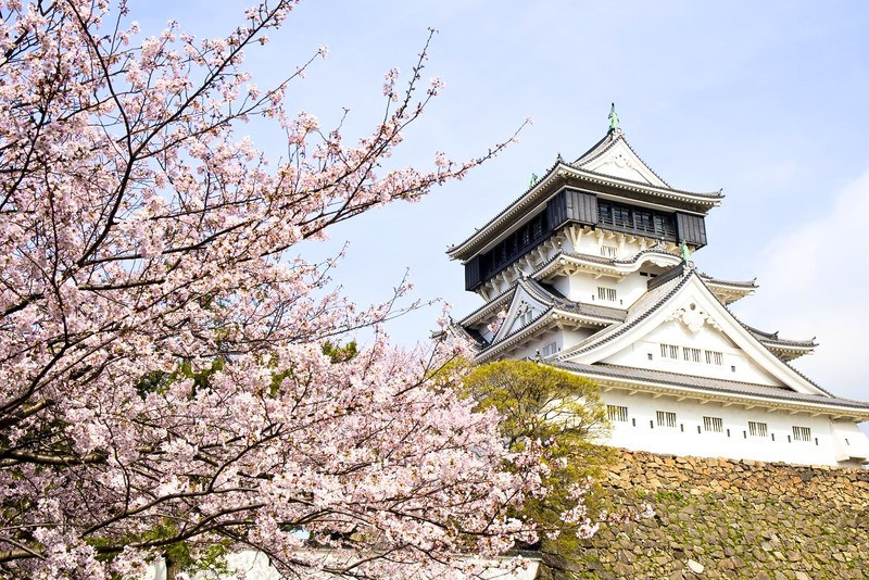 Lâu đài Fukuoka - công viên Maizuru