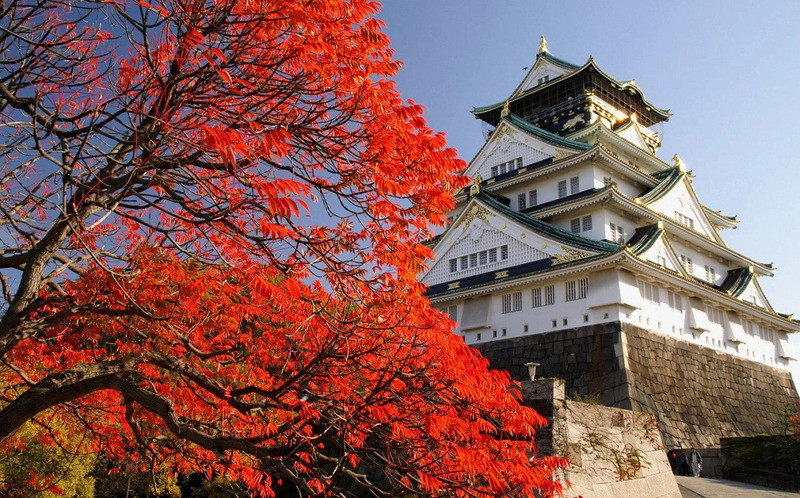 Lâu đài Osaka mùa thu 