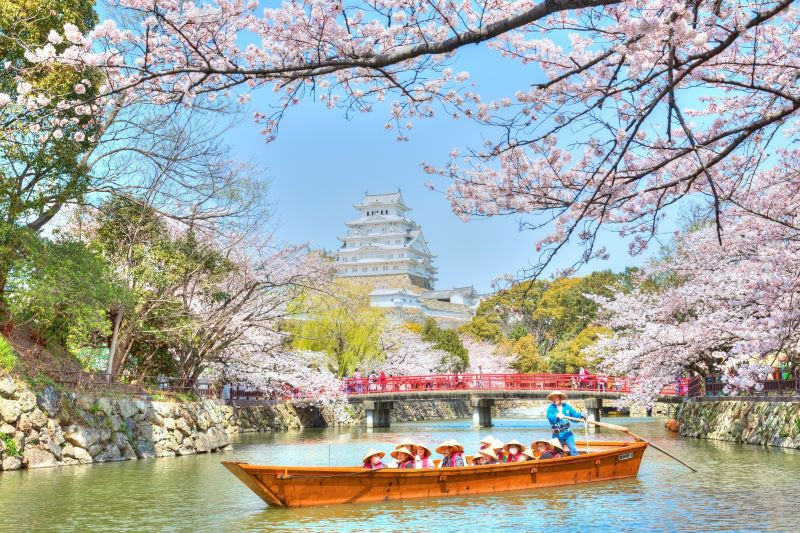 Lâu đài Osaka lung linh vào mùa hoa anh đào