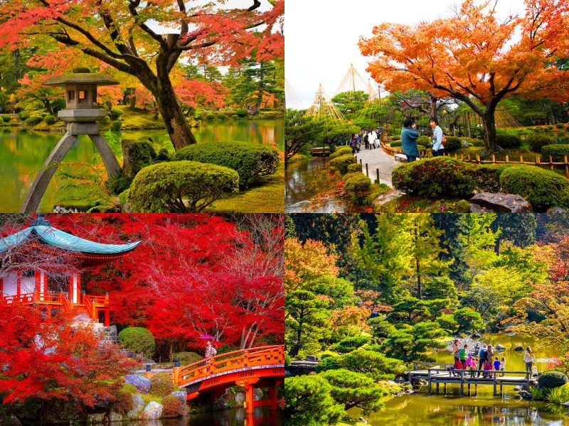 Mùa lá đỏ ở Kanazawa tuyệt đẹp