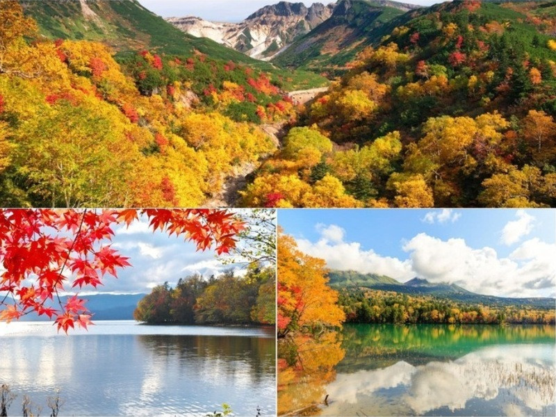 Mùa thu Hokkaido Nhật Bản (Ảnh sưu tầm) Mùa thu Hokkaido Nhật Bản (Ảnh sưu tầm)