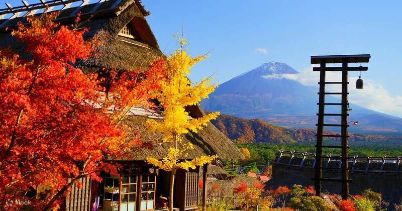 Mùa thu là thời điểm đẹp nhất lá vàng đỏ rực Mùa thu là thời điểm đẹp nhất lá vàng đỏ rực