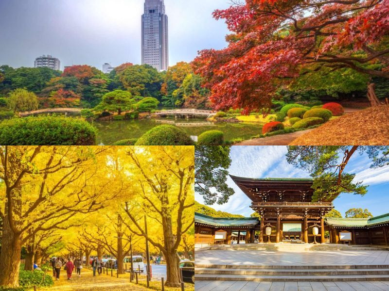 Nét đẹp Tokyo kết hợp giữa truyền thống và hiện đại 