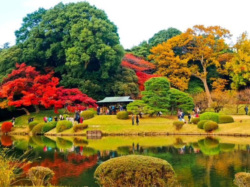 Ngắm lá đỏ tại công viên Shinjuku-Gyoen