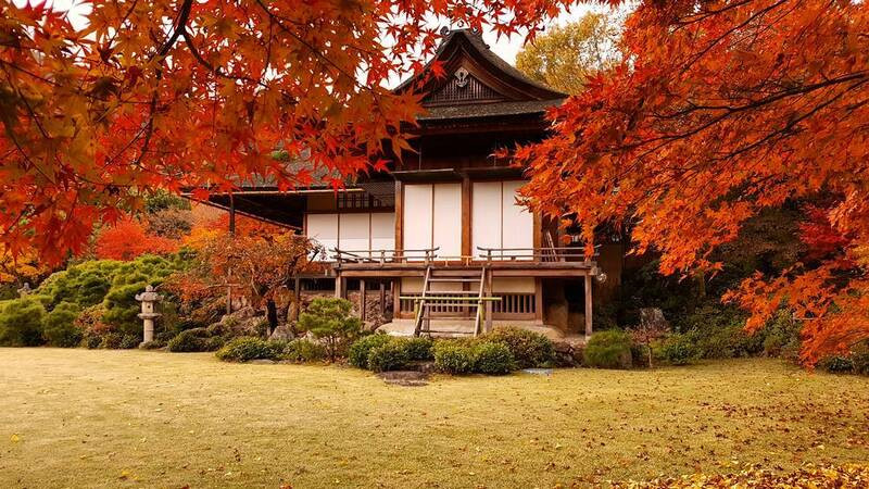 Ngắm mùa lá đỏ ở Kyoto