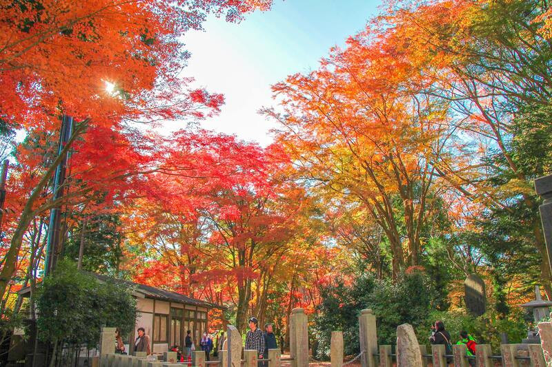 Ngắm mùa lá đỏ ở núi Takao