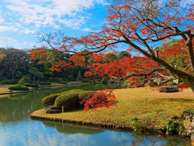 Ngắm lá đỏ tại Rikugien