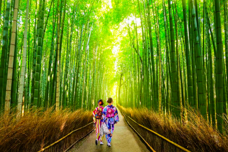  Rừng tre Arashiyama 