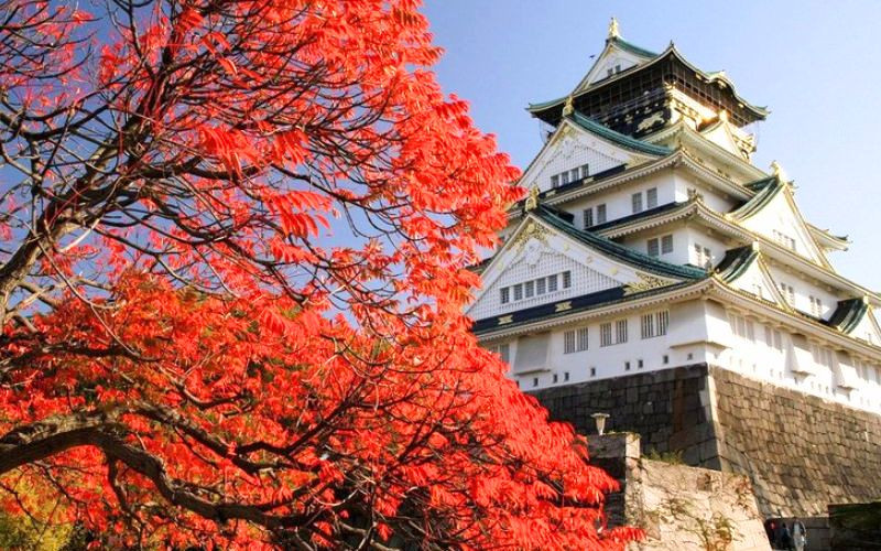 Sắc thu rực rỡ quanh lâu đài Osaka