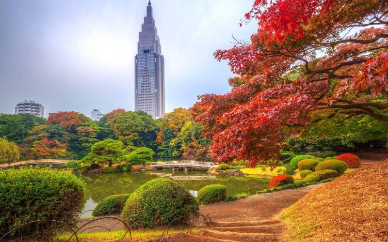 Shinjuku Gyoen - Góc ngắm lá thu giữa lòng Tokyo
