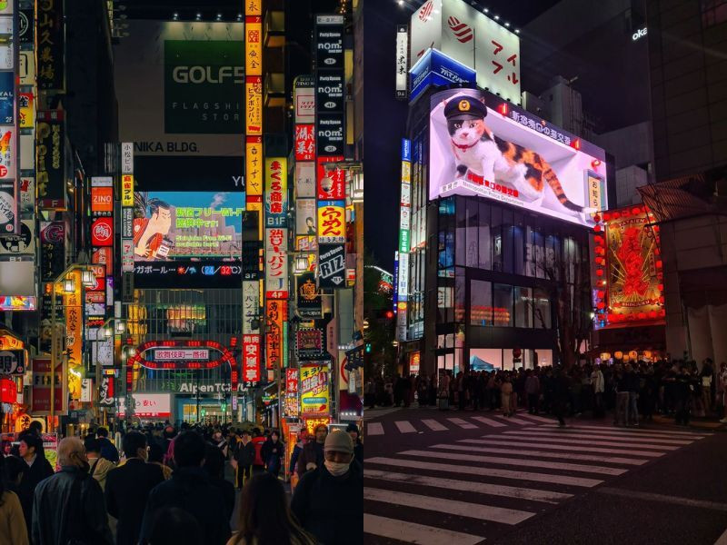 Thành phố Shinjuku mang vẻ đẹp về đêm đầy lãng mạn