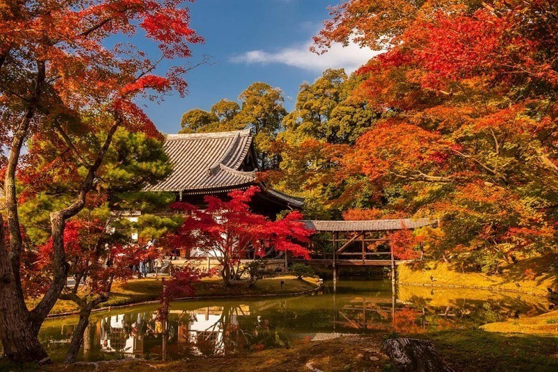 Thời tiết mùa thu tuyệt đẹp tại Kyoto (Ảnh sưu tầm)